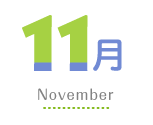 11月